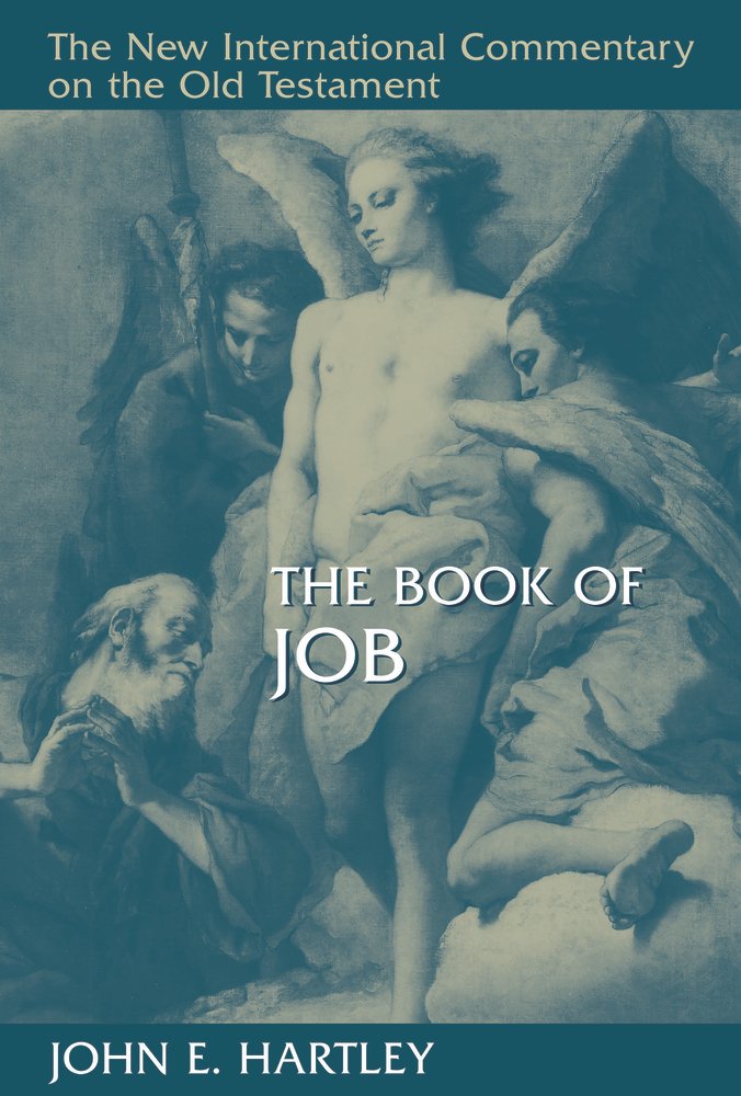 Book of Job (NICOT)