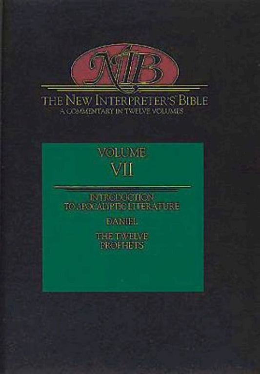 New Interpreter's Bible, Vol. VII