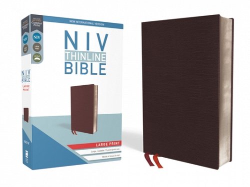 NIV Thinline Large Print Bible, Burgundy